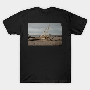 driftwood on the beach T-Shirt